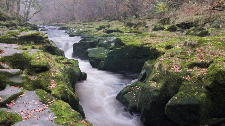 The Strid Bolton Abbey UK