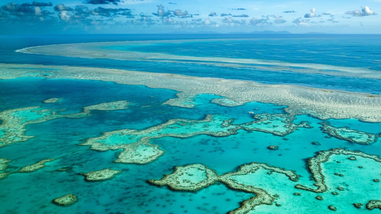 Aerial view of Great Barrier Reef, Australia