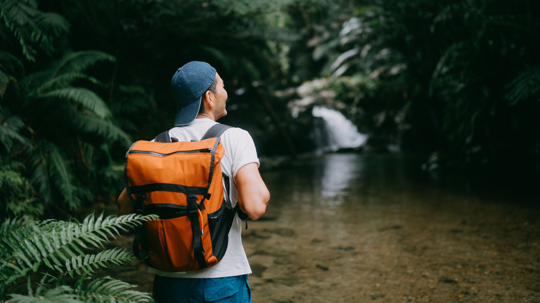 A hiker admires a small waterfall while wearing a backpack