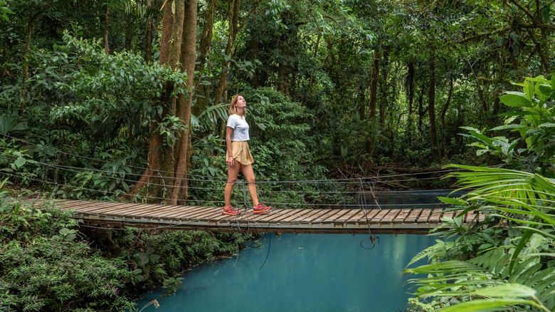 girl walking on forest bridge