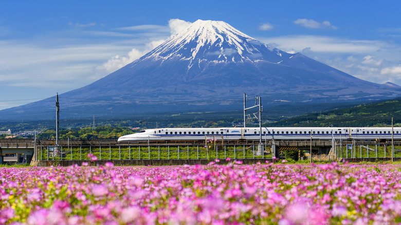 Shinkansen with Mt Fuji in spring