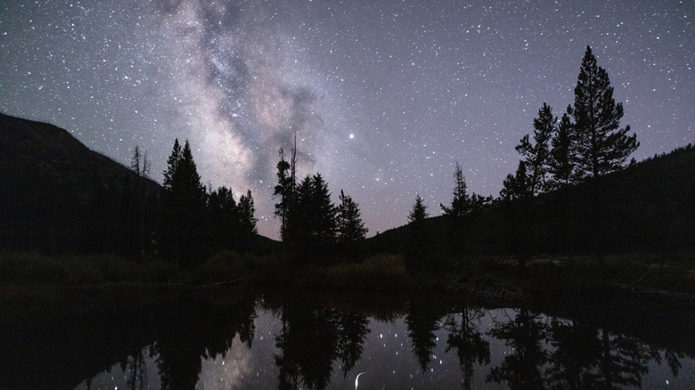 Milky Way in the night sky reflected in a pond with tree silhouettes