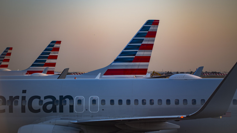 closeup of fuselage of American Airlines planes in a row