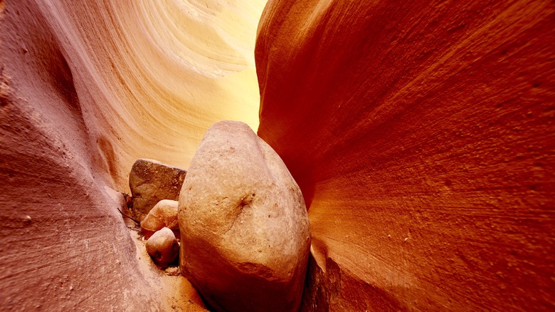 curved and textured canyon walls