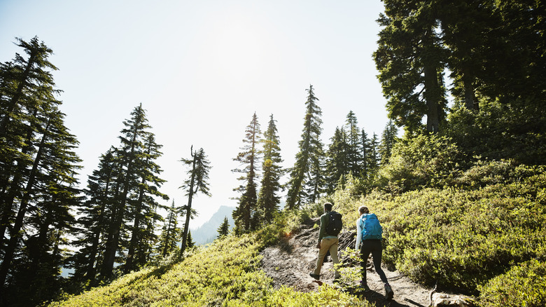 Hikers on a trail in America