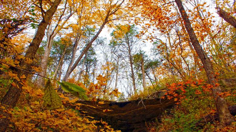 fall foliage and bluffs along the Katy Trail in Missouri