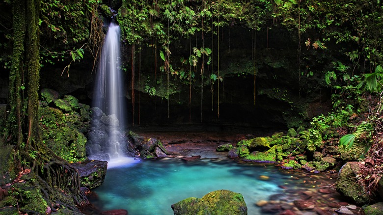 The Emerald Pool in Dominica's Morne Trois Pitons National Park