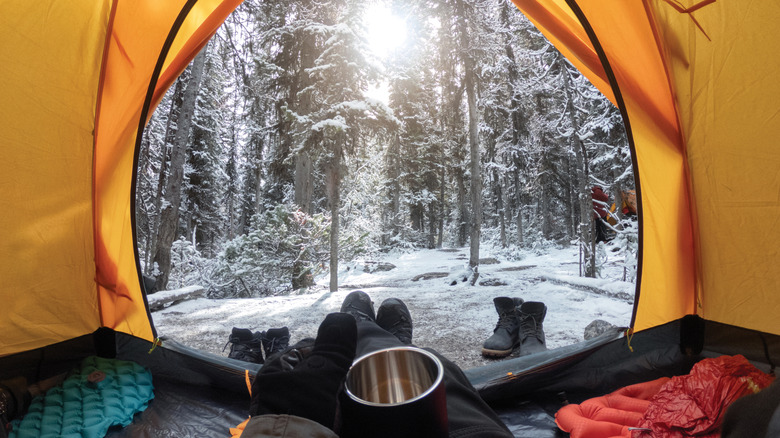 view of snowy forest from inside a cozy tent