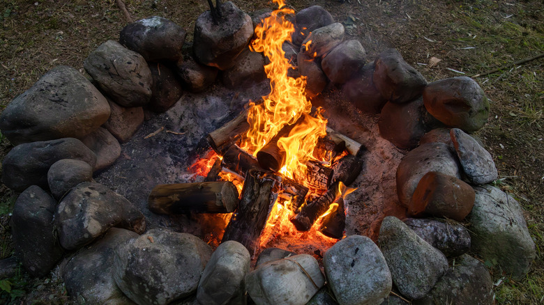 campfire burning inside stone ring