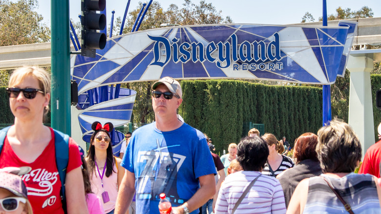 Disneyland Resort visitors
