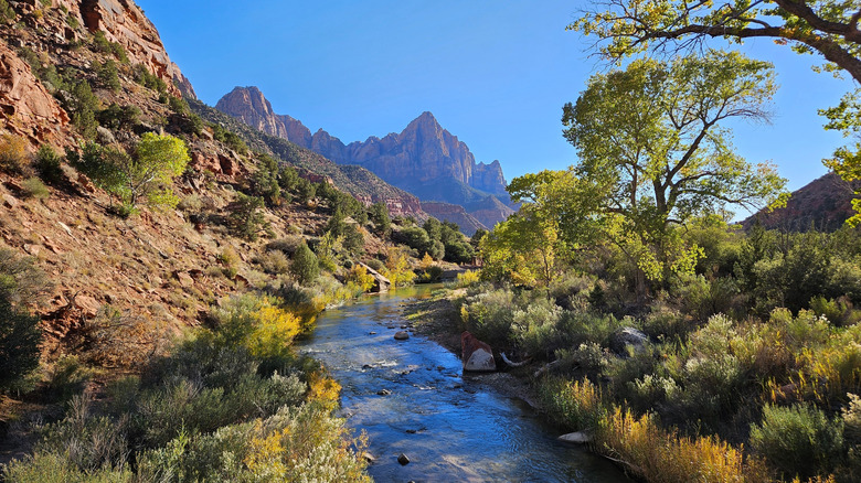 Virgin River near Pa'rus Trail