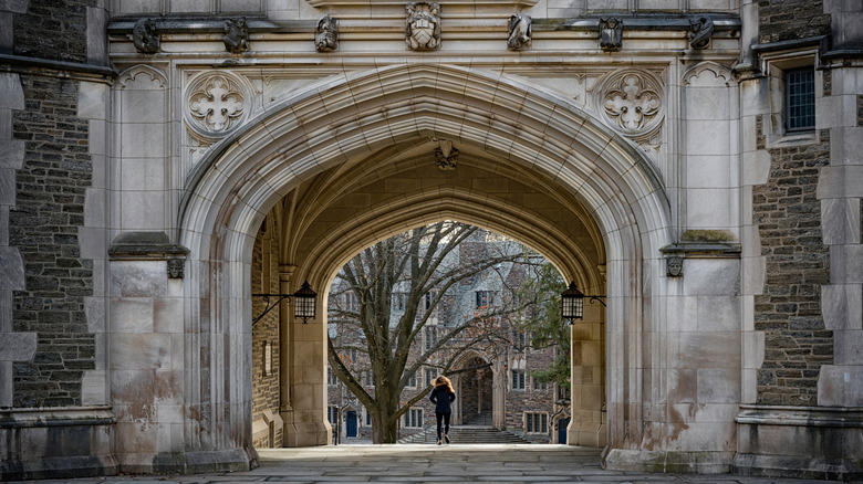 Princeton castle campus
