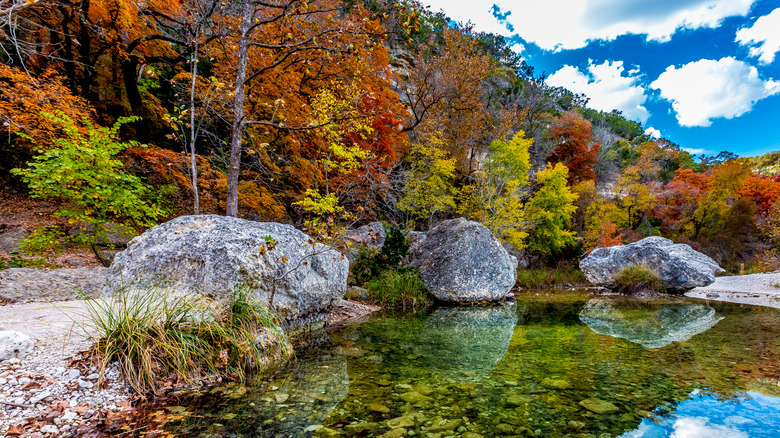 Lost Maples State Natural Area during autumn
