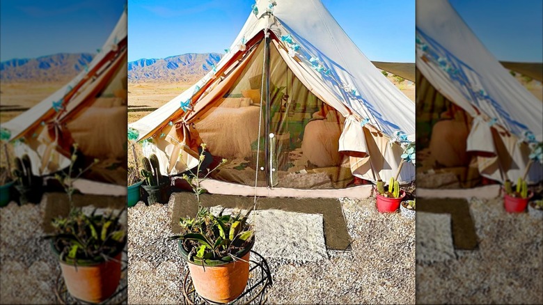 A yurt at Cuyama Oaks Ranch