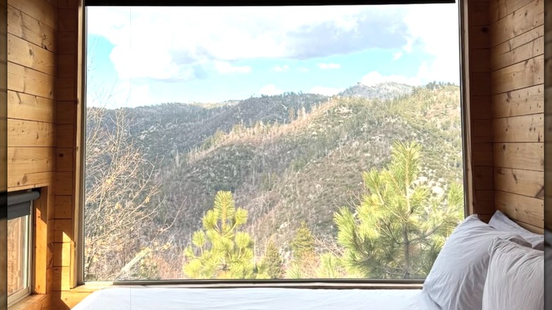 Bedside view from the Postcard Cabins in Big Bear