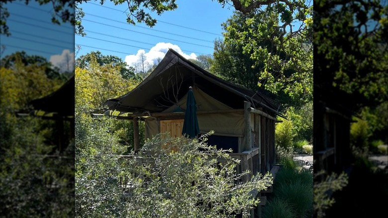 The tent at Safari West in Santa Rosa, California