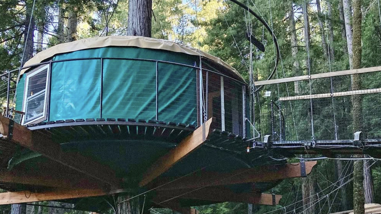 Treehouse glamping in Occidental, California