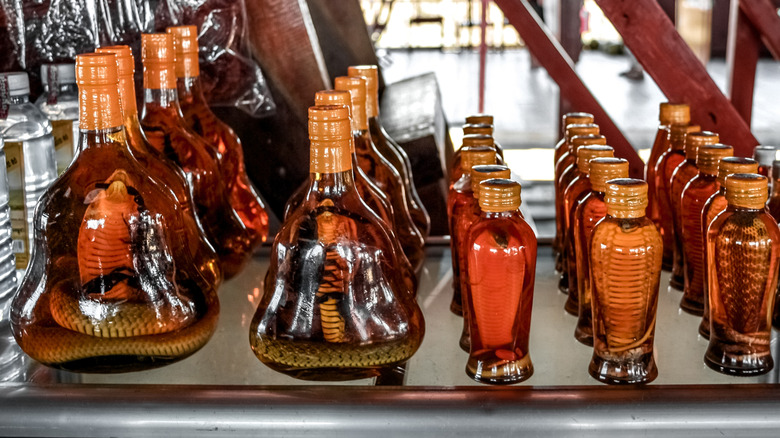 Alcohol in a bottle with a snake inside it in Thailand