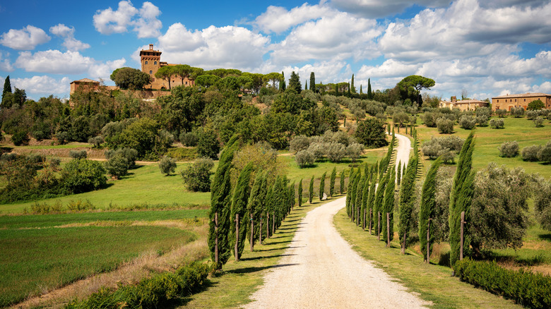 A winding avenue in Tuscany lined with cypress trees with villas in the distnace