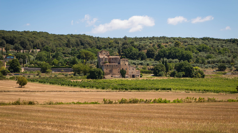 Scenic view of beautiful tuscan countryside in late summer