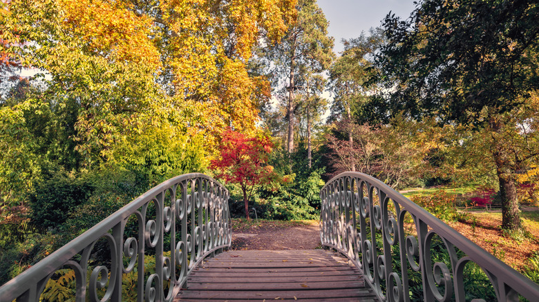 A footbridge in the Arboretum Vallée des Loups near Paris