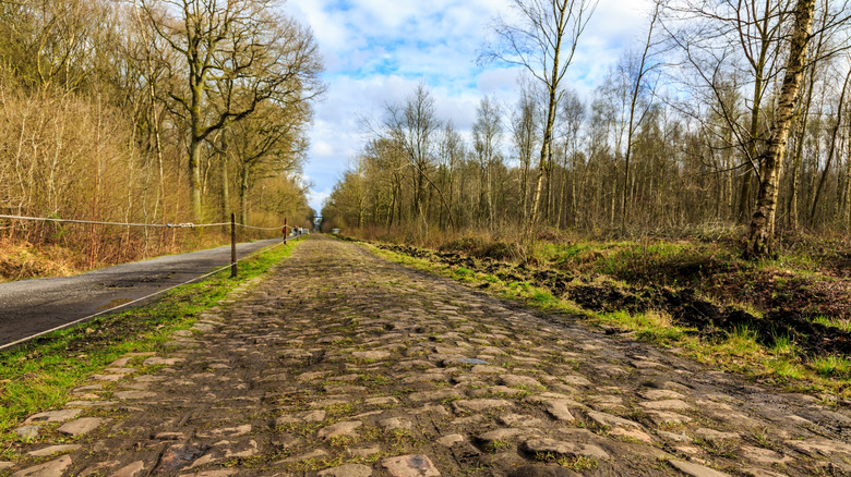 La Trouée d'Arenberg in springtime