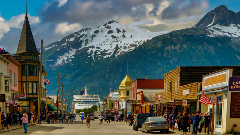 a view of Skagway with cruise ship in background