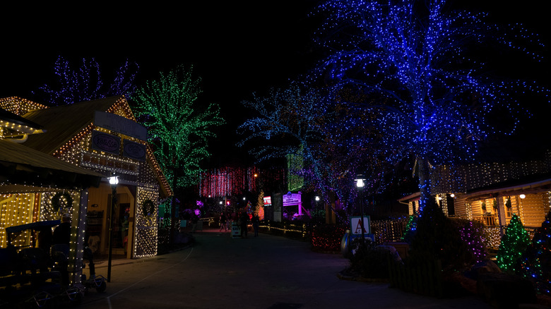 Colored fairy lights adorn the trees and buildings at Stone Mountain Park Christmas village