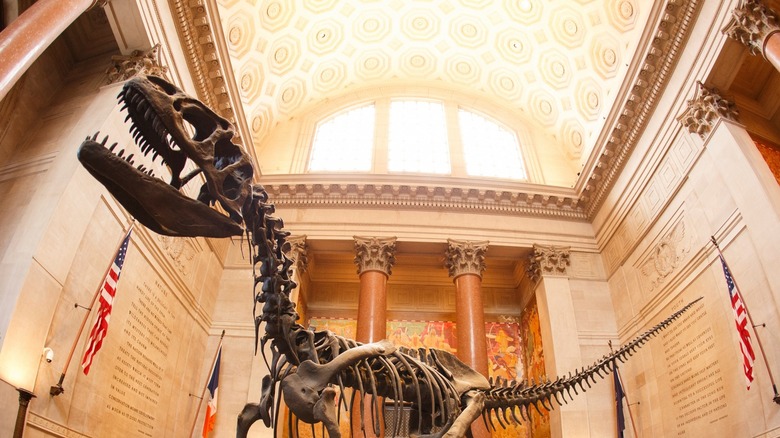 dinosaur on display at museum