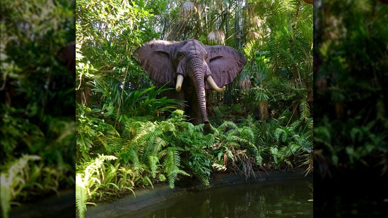 The jungle cruise ride at Disney World