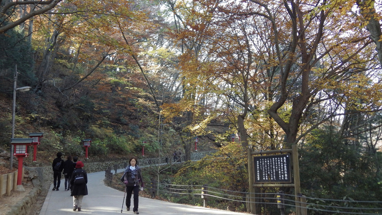 Autumn leaves Mount Takao hiking trail