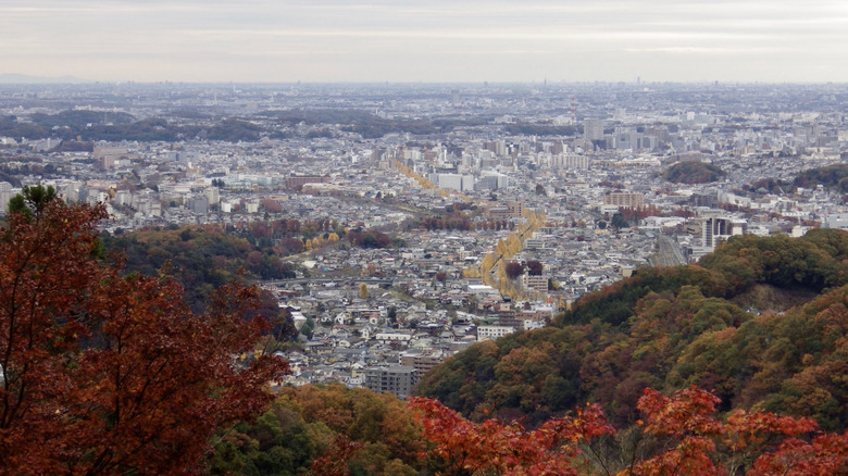 Mount Takao view Tokyo urban sprawl