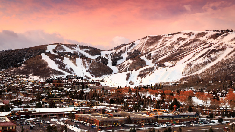 The Most Searched-For Ski Resorts Worldwide: US Resort Claims Second Place