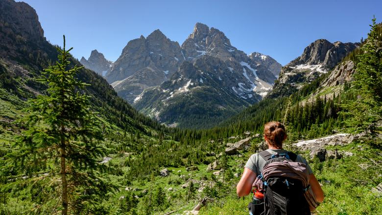 hiker enjoying view of Teton Wilderness
