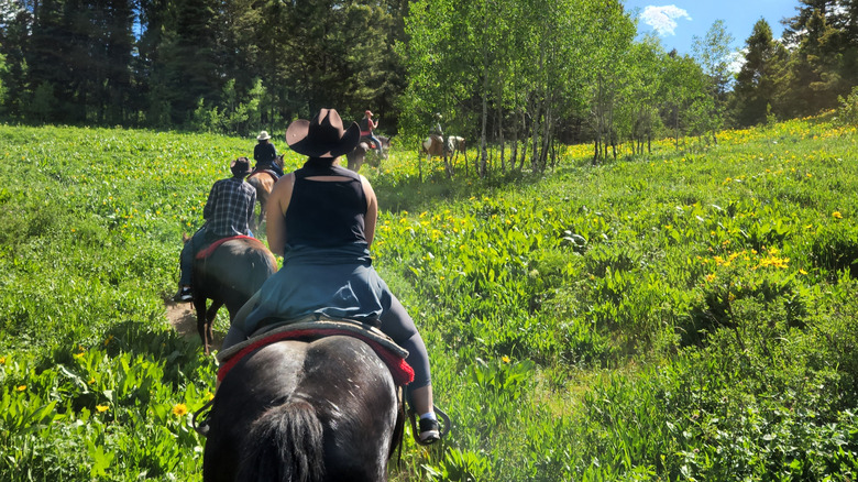 people on horseback riding tour in Teton Wilderness