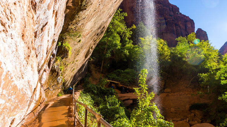 a waterfall dropping into the Lower Emerald Pool in Zion National Park, Utah