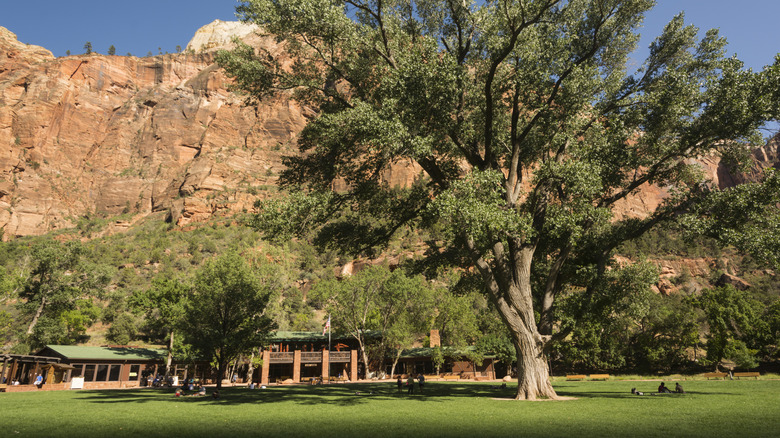 the grounds of the Zion Lodge with sandstone mountains in the background