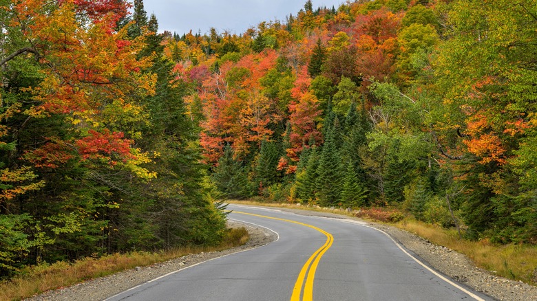 Fall foliage in New England