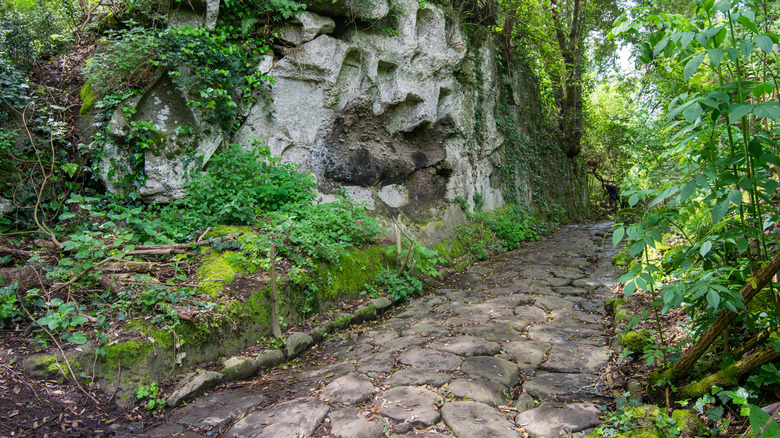 A cobblestone path through Parco di Veio