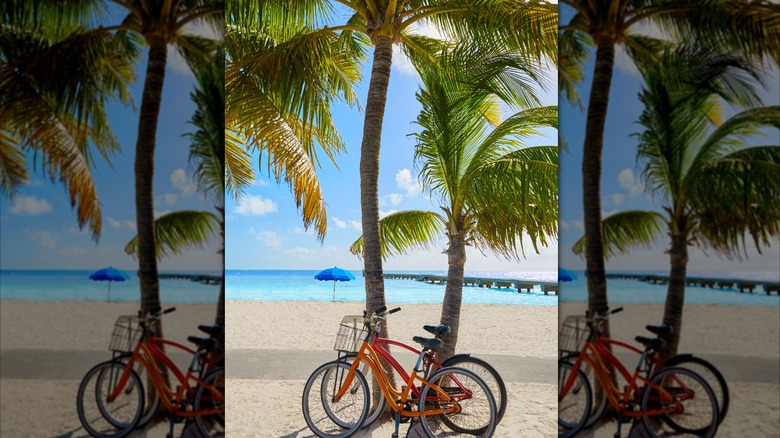 Bikes at Clarence S. Higgs Memorial Beach