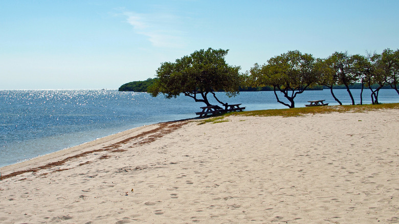Curry Hammock State Park beach