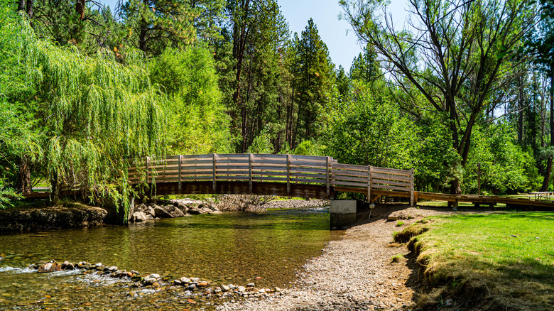 A foot bridge in Catherine Creek State Park