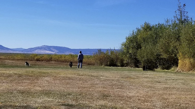 The landscape at Goose Lake State Recreation Area