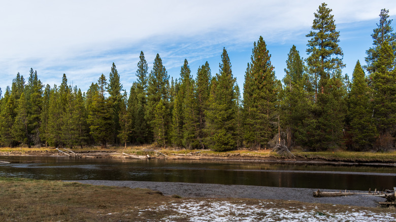 Snow dusts the riverbank at LaPine State Park