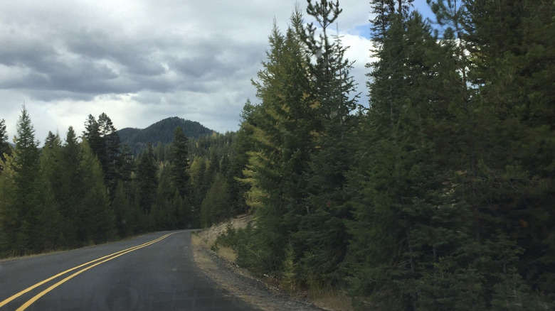 The drive along Ukiah-Dale Forest State Scenic Corridor