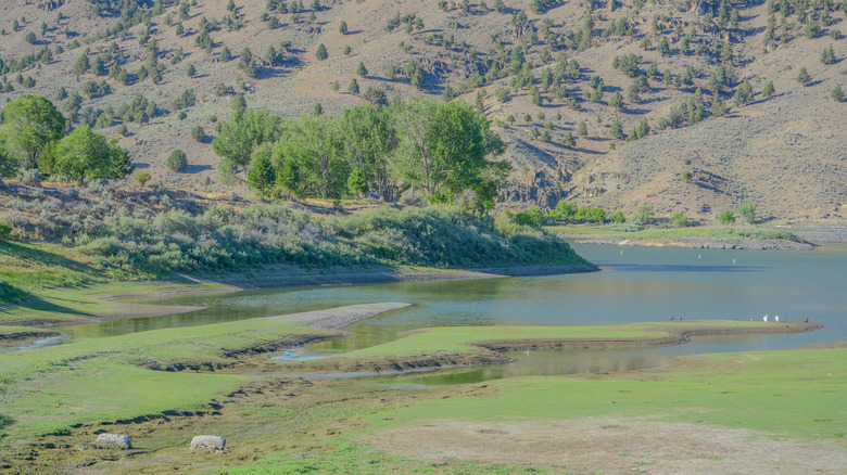 A close-up of Unity Lake in Oregon