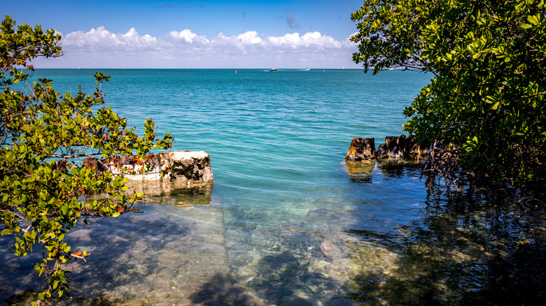 Biscayne Bay in Florida 