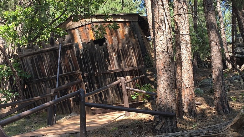 Cosmos Mystery Area crooked cabin