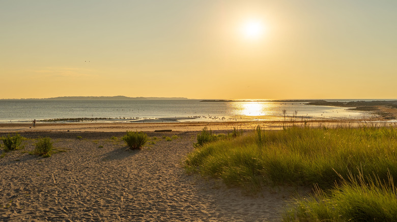 Sunset over a beach, grass