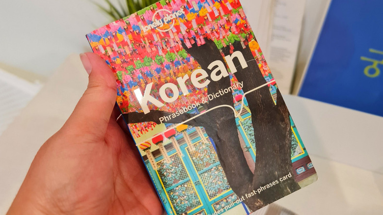 hand holding a Korean phrasebook